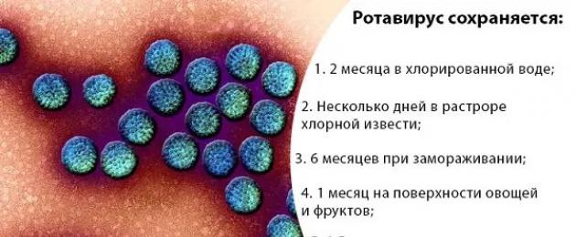 Норовирусная инфекция у детей. Чем отличается ротавирус от норовируса Нано вирус симптомы