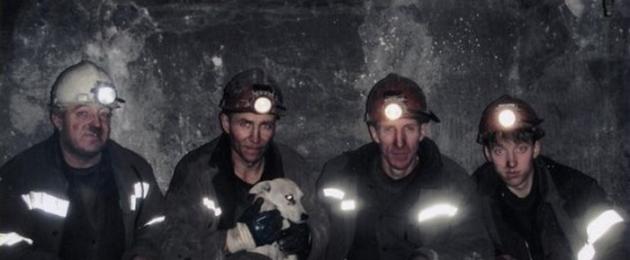 История собаки, которая помогала шахтерам. За что кемеровской собаке Ляльке шахтеры поставили памятник? Памятник шахтерской собаке ляльке