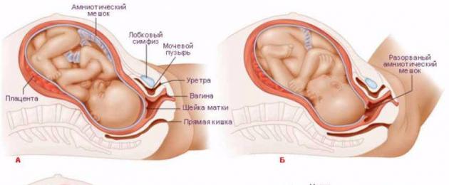 Процесс родов от начала до конца: описание основных этапов. Что происходит с женским телом во время родов