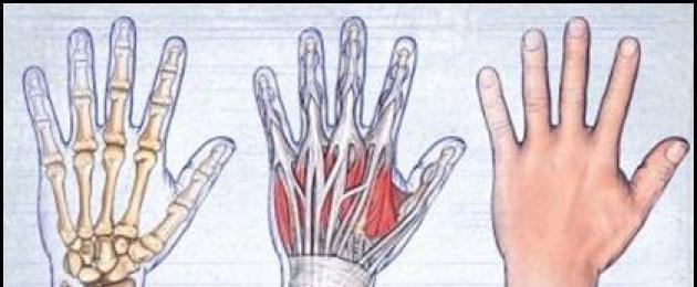  Причины и лечение растяжения мышц руки. 