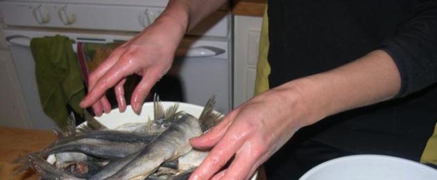 Можно ли сушить рыбу не подвешивая. Как вялить рыбу в домашних условиях