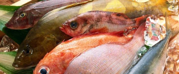 Почему рыбы не чувствуют боли. Чувствуют ли рыбы боль? Что может вызвать боль у животных
