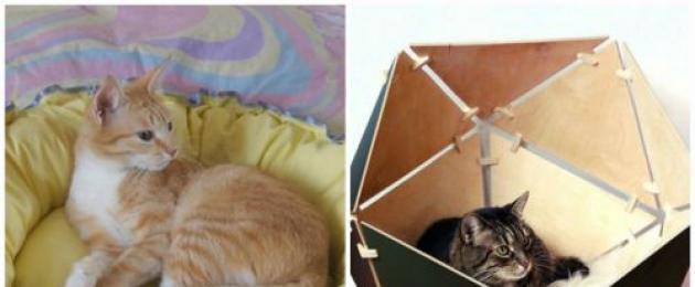 الأرائك DIY للقطط.  سرير للقطط DIY