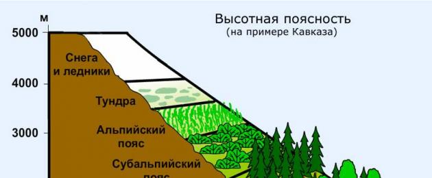 ما هو المجمع الطبيعي؟  المجمع الطبيعي ومكوناته.  تنوع المجمعات الطبيعية في روسيا