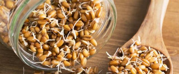 Какую пользу организму может принести пророщенная пшеница — как правильно прорастить и принимать зерна. Проросшая пшеница: польза, как правильно ее употреблять