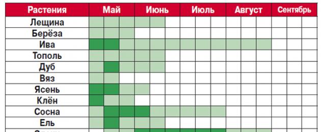 Цветение березы в москве в 2024 году. Период аллергии на цветение. Календарь цветения березы. Период цветения березы в Москве. Периоды цветения для аллергиков.