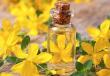 نبتة سانت جون: قوى الطبيعة العلاجية في الزهرة الصفراء يمكن أن تكون نبتة سانت جون