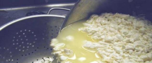 Composizione del siero di latte.  Siero di latte: beneficio o danno per le piante