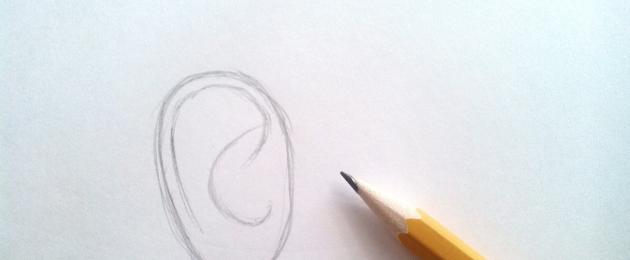 Как рисовать ухо карандашом поэтапно. Как рисовать уши
