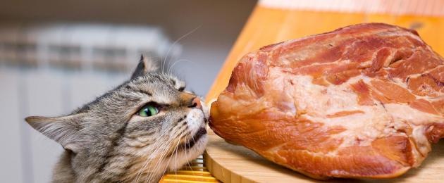 Perché ai gatti non dovrebbe essere data carne grassa.  I gatti possono mangiare carne cruda?