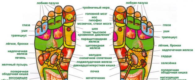 Точки на подошве ноги отвечающие за органы. Точечный массаж стоп: секреты японского метода