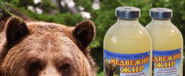 Употребление медвежьего жира. Медвежий жир — лечебные свойства и противопоказания
