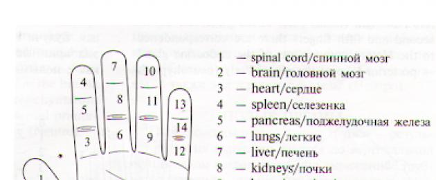 Что значат пальцы в хиромантии: важные отметки, расстояние и предупреждения. Болит фаланга среднего пальца на руке
