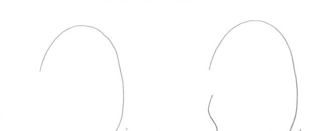 Ухо человека рисунок карандашом. Как нарисовать ухо карандашом поэтапно