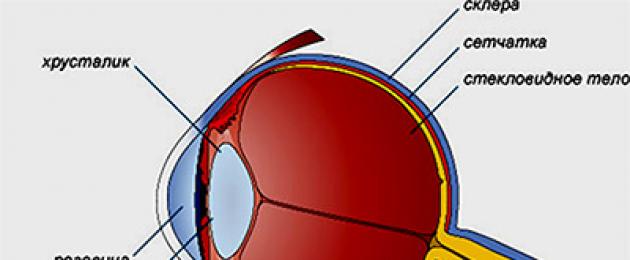 Очки не улучшают зрение. Как улучшить зрение “очкарикам”? И опять перерывы