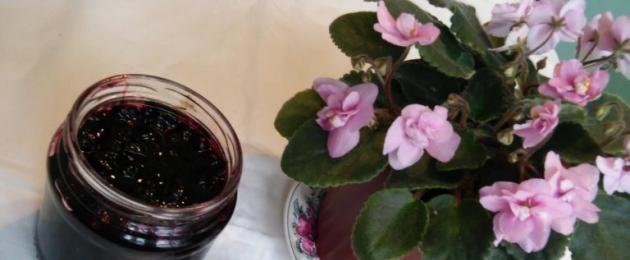 Как бланшировать ягоды черноплодной рябины. Черноплодная рябина на зиму ‒ лучшие рецепты с подробным описанием