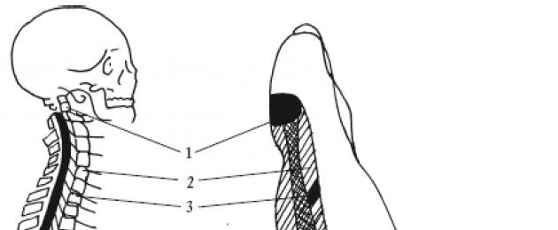 Mappa delle zone riflesse dei piedi.  Punti di agopuntura e riflessi sul piede