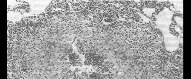 Регенерация клеточной стенки и реверсия к клеточным формам. L-формы бактерий Реверсия персистирующих нанобактерий