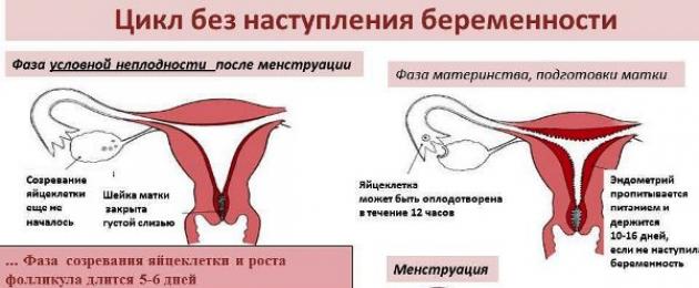 Прервать менструацию. Как и чем остановить очень продолжительные месячные