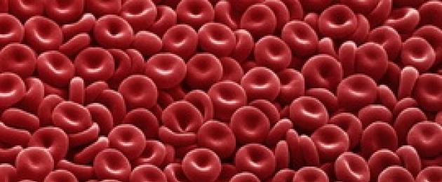Кровь человека кратко. Кровь: состав, строение, функции и свойства