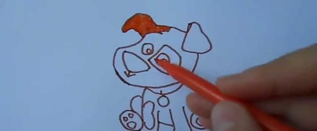 Come disegnare un cane che salta passo dopo passo.  Giovane artista: come disegnare un cane con una matita passo dopo passo, istruzioni per i bambini