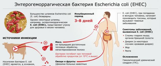 Гус у детей клинические рекомендации. Гемолитико-уремический синдром у детей и взрослых