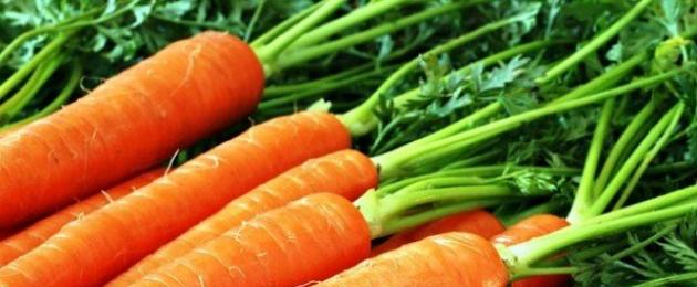 Come si digeriscono meglio le carote?  Bollite o crude: quali carote sono considerate più salutari?