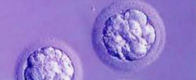 Тянут яичники после подсадки эмбрионов. После переноса эмбрионов тянет живот: причины