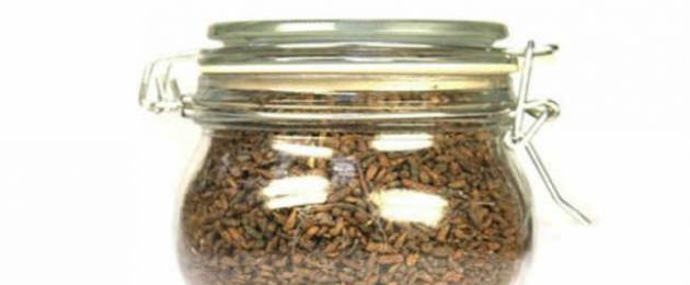 Medicina dai germogli di betulla.  Modi per utilizzare i germogli di betulla nella medicina popolare