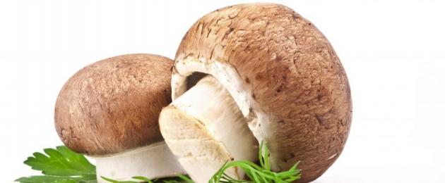 È possibile mangiare funghi perdendo peso: benefici e danni.  Menù e ricette dietetiche a base di funghi