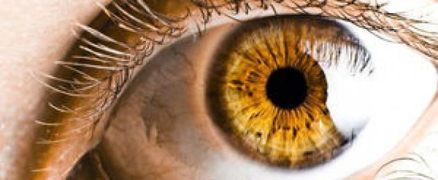 Зеленоглазые люди происхождение. Уникальные и самые редкие цвета глаз