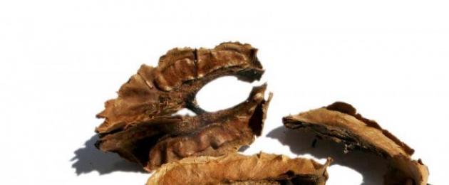 Водочная настойка на грецких орехах. Рецепты витаминной настойки из зеленого грецкого ореха