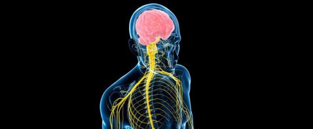 Заболевания позвоночника вызывающие поражение спинного мозга. Лечение повреждений спинного мозга