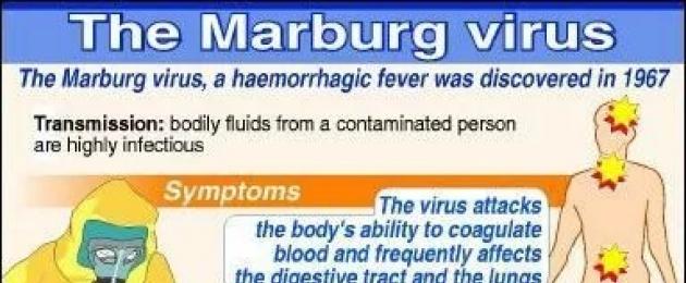 علاج فيروس ماربورغ.  حمى ماربورغ النزفية