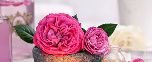 Розы масло (Иран). Роза дамасская