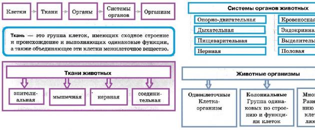 Конспект НОД в старшей группе по познавательному развитию с презентацией. Ткани