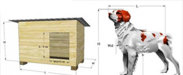Самые экстравагантные в мире будки для собак. Самая дорогая в мире будка для собак стоит $200000 Самые дорогие будки для собак