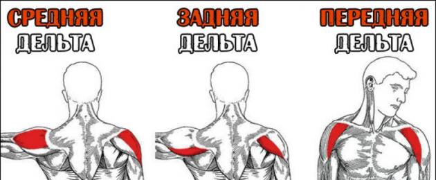 Как накачать себе крутые плечи гантелями — самые эффективные упражнения. Как накачать плечи? Как накачать мышцы плеча - упражнения